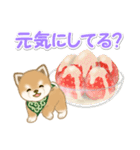 よちよち豆柴と春スイーツ（個別スタンプ：31）