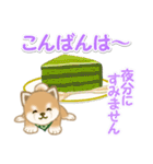 よちよち豆柴と春スイーツ（個別スタンプ：34）