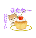よちよち豆柴と春スイーツ（個別スタンプ：37）