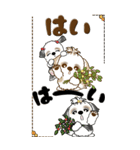 【Big】シーズー犬 80『Baby ＆ 花』（個別スタンプ：7）
