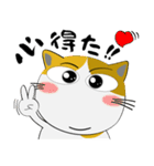 三毛猫のみーこ★武士魂（個別スタンプ：1）