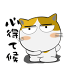 三毛猫のみーこ★武士魂（個別スタンプ：6）