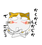 三毛猫のみーこ★武士魂（個別スタンプ：11）