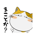 三毛猫のみーこ★武士魂（個別スタンプ：12）