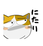 三毛猫のみーこ★武士魂（個別スタンプ：14）