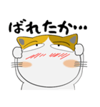 三毛猫のみーこ★武士魂（個別スタンプ：19）