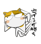 三毛猫のみーこ★武士魂（個別スタンプ：20）