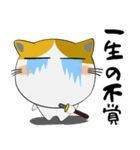 三毛猫のみーこ★武士魂（個別スタンプ：22）