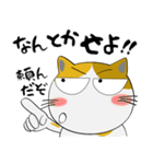 三毛猫のみーこ★武士魂（個別スタンプ：23）