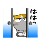 三毛猫のみーこ★武士魂（個別スタンプ：24）