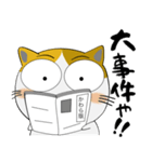 三毛猫のみーこ★武士魂（個別スタンプ：26）