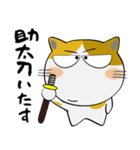 三毛猫のみーこ★武士魂（個別スタンプ：34）