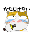 三毛猫のみーこ★武士魂（個別スタンプ：35）