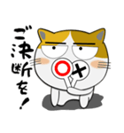 三毛猫のみーこ★武士魂（個別スタンプ：36）