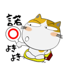 三毛猫のみーこ★武士魂（個別スタンプ：37）