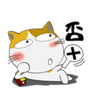 三毛猫のみーこ★武士魂（個別スタンプ：38）