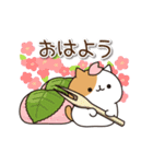 毎日ぶちにゃんこ 7(動く♪春ver.)（個別スタンプ：1）