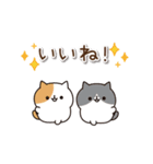 毎日ぶちにゃんこ 7(動く♪春ver.)（個別スタンプ：8）