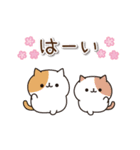毎日ぶちにゃんこ 7(動く♪春ver.)（個別スタンプ：9）