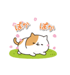 毎日ぶちにゃんこ 7(動く♪春ver.)（個別スタンプ：17）