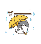 毎日ぶちにゃんこ 7(動く♪春ver.)（個別スタンプ：20）