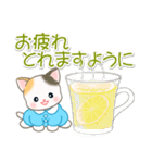 園児にゃんこ 優しい敬語（個別スタンプ：8）