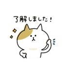 ゆるゆるニャンコの敬語メッセージ3（個別スタンプ：1）