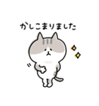 ゆるゆるニャンコの敬語メッセージ3（個別スタンプ：3）