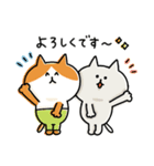 ゆるゆるニャンコの敬語メッセージ3（個別スタンプ：5）