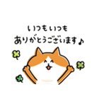 ゆるゆるニャンコの敬語メッセージ3（個別スタンプ：10）