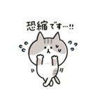 ゆるゆるニャンコの敬語メッセージ3（個別スタンプ：14）