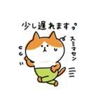 ゆるゆるニャンコの敬語メッセージ3（個別スタンプ：30）