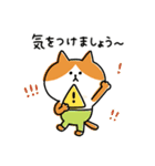ゆるゆるニャンコの敬語メッセージ3（個別スタンプ：36）
