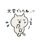 ゆるゆるニャンコの敬語メッセージ3（個別スタンプ：37）