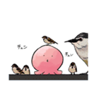 タコピーの原罪（タイザン5）（個別スタンプ：24）