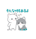 悟りを開いたぬこ（個別スタンプ：4）