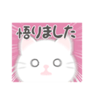悟りを開いたぬこ（個別スタンプ：12）