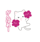 悟りを開いたぬこ（個別スタンプ：18）