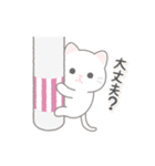 悟りを開いたぬこ（個別スタンプ：19）