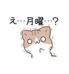 動く！毎日五月病なねこたち（個別スタンプ：3）
