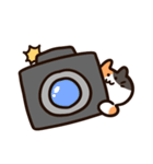 写真に貼れる！コスプレにゃんこスタンプ（個別スタンプ：32）