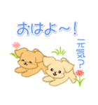 とことこちびトイプードル（個別スタンプ：1）