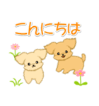 とことこちびトイプードル（個別スタンプ：3）