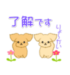 とことこちびトイプードル（個別スタンプ：10）