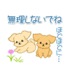 とことこちびトイプードル（個別スタンプ：16）