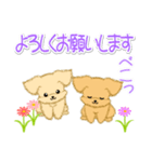 とことこちびトイプードル（個別スタンプ：19）