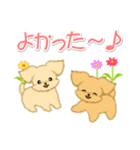 とことこちびトイプードル（個別スタンプ：20）