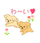 とことこちびトイプードル（個別スタンプ：22）