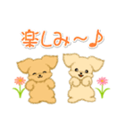とことこちびトイプードル（個別スタンプ：24）
