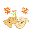 とことこちびトイプードル（個別スタンプ：27）